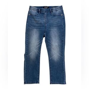 Judy Blue Skinny Fit Capri Size 7/28